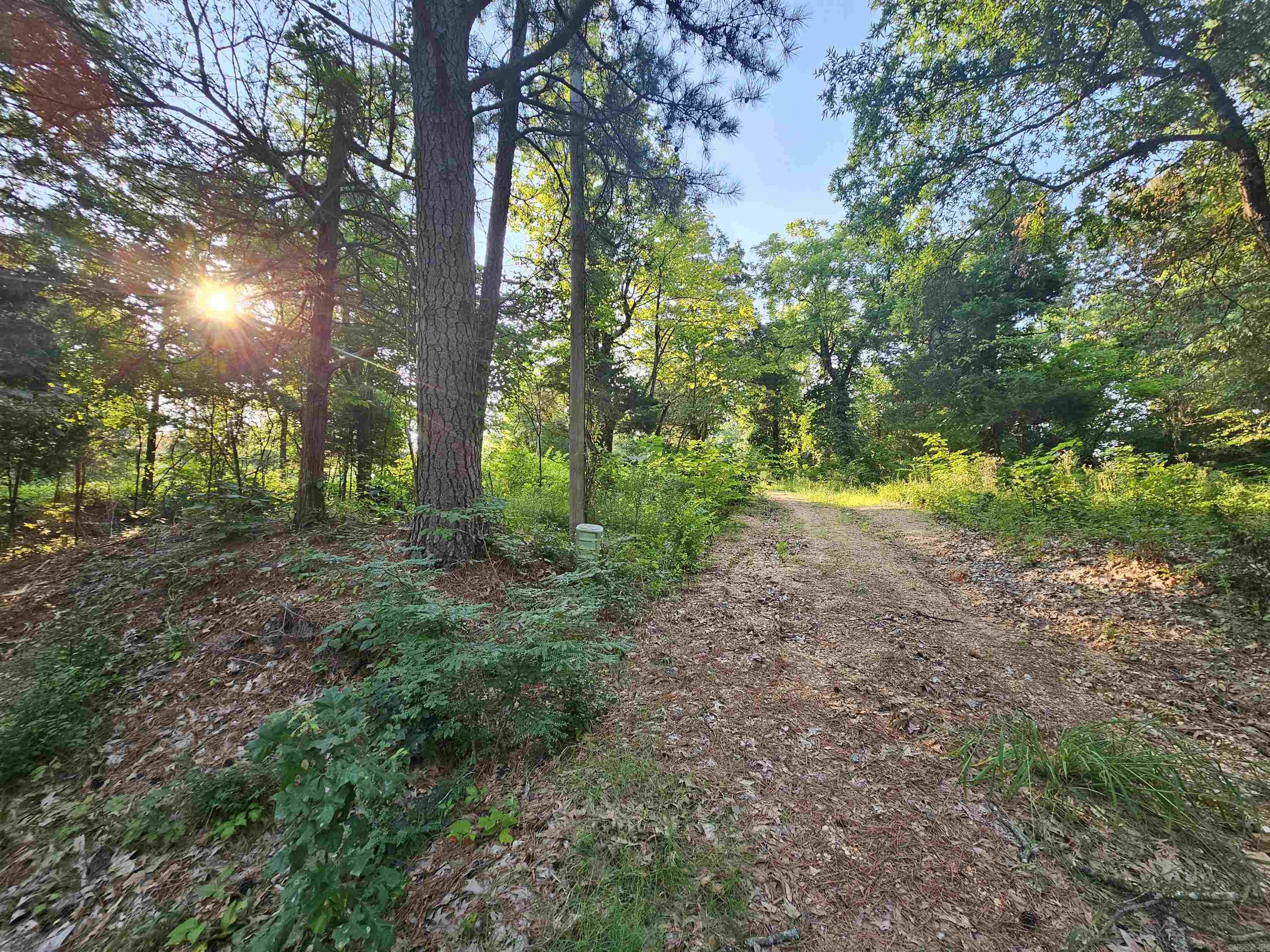 5027  Hwy 141 S  Paragould, AR