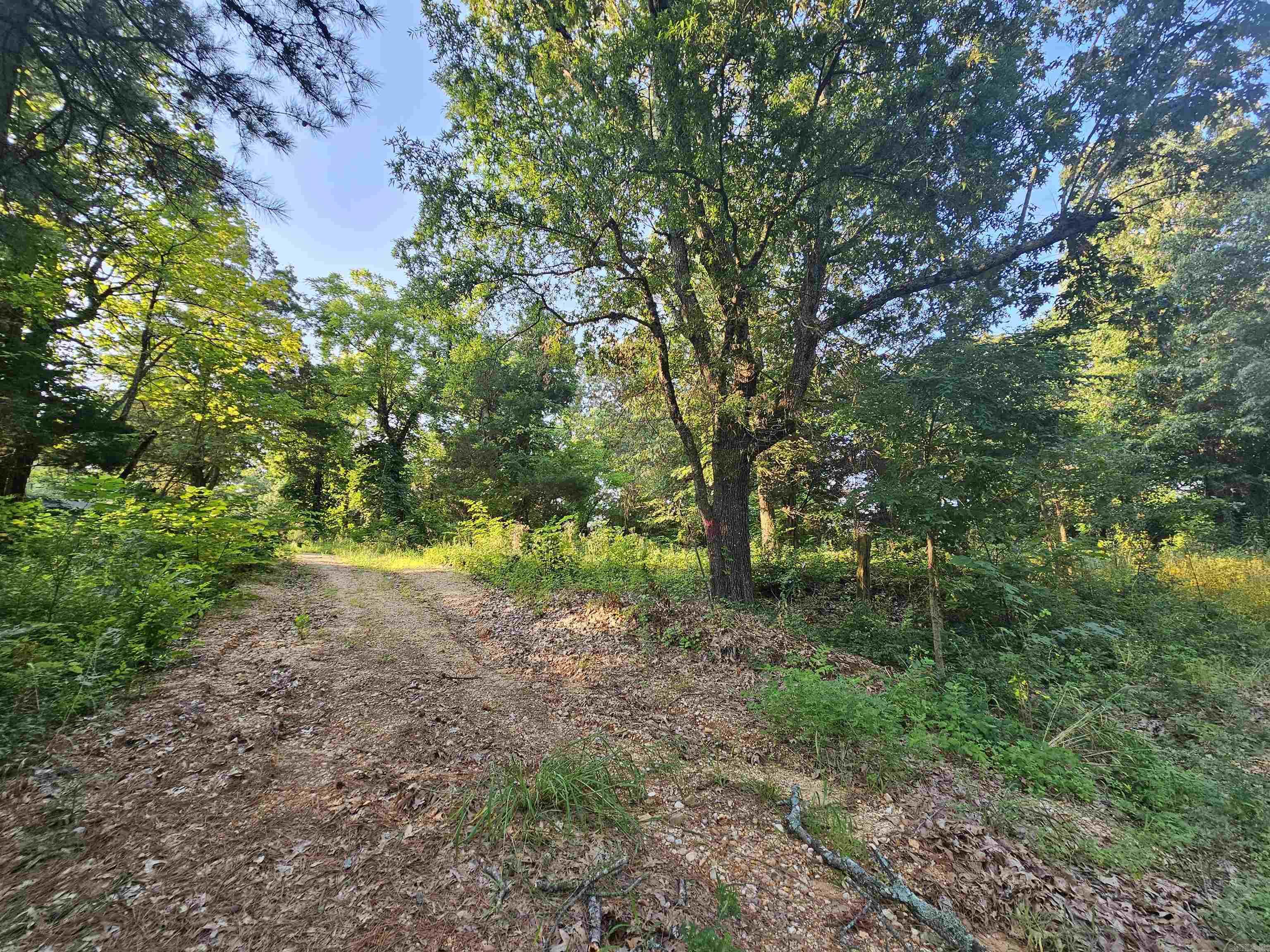 5027  Hwy 141 S  Paragould, AR