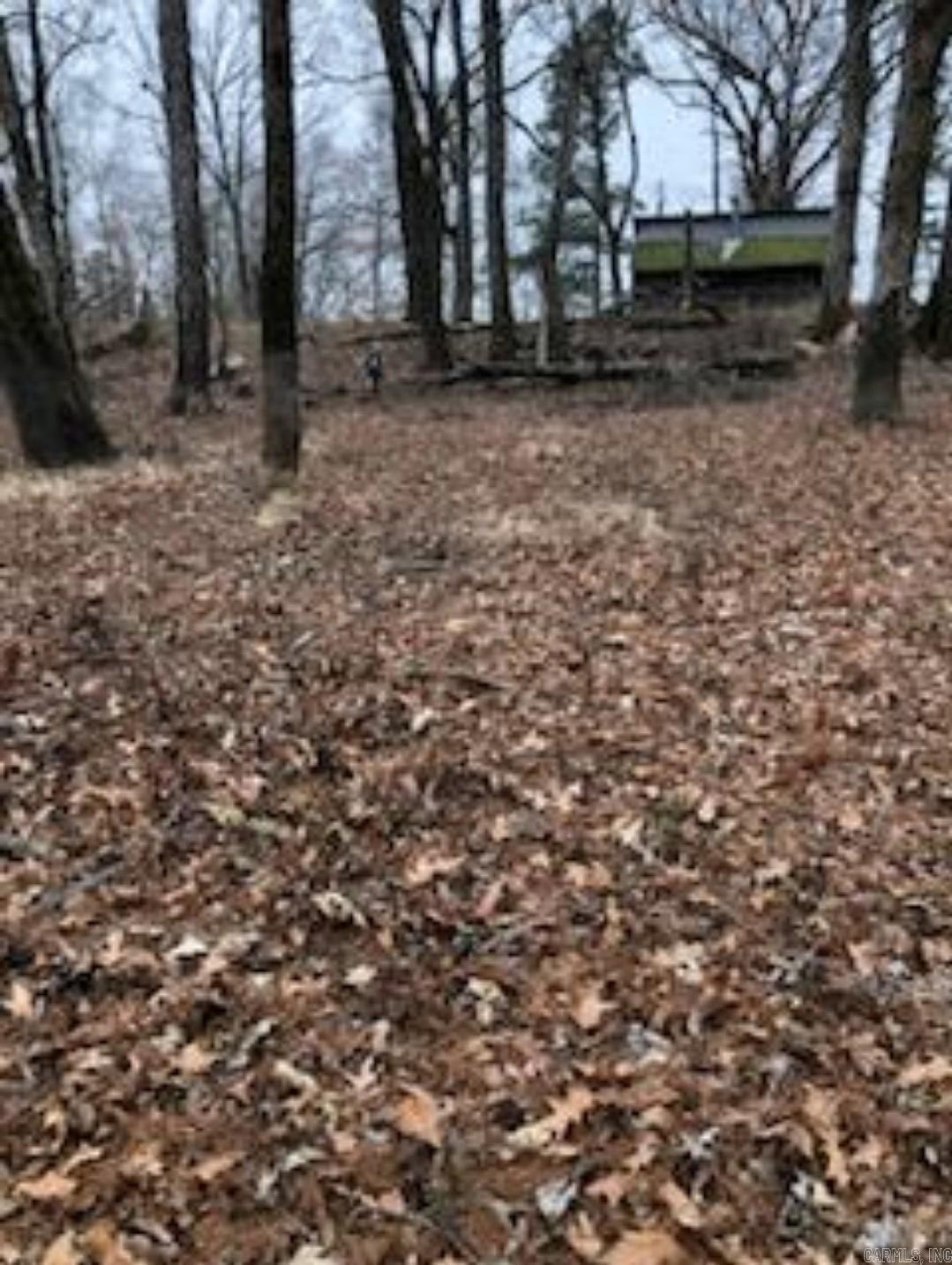 0  Cypert Bluff  Georgetown, AR