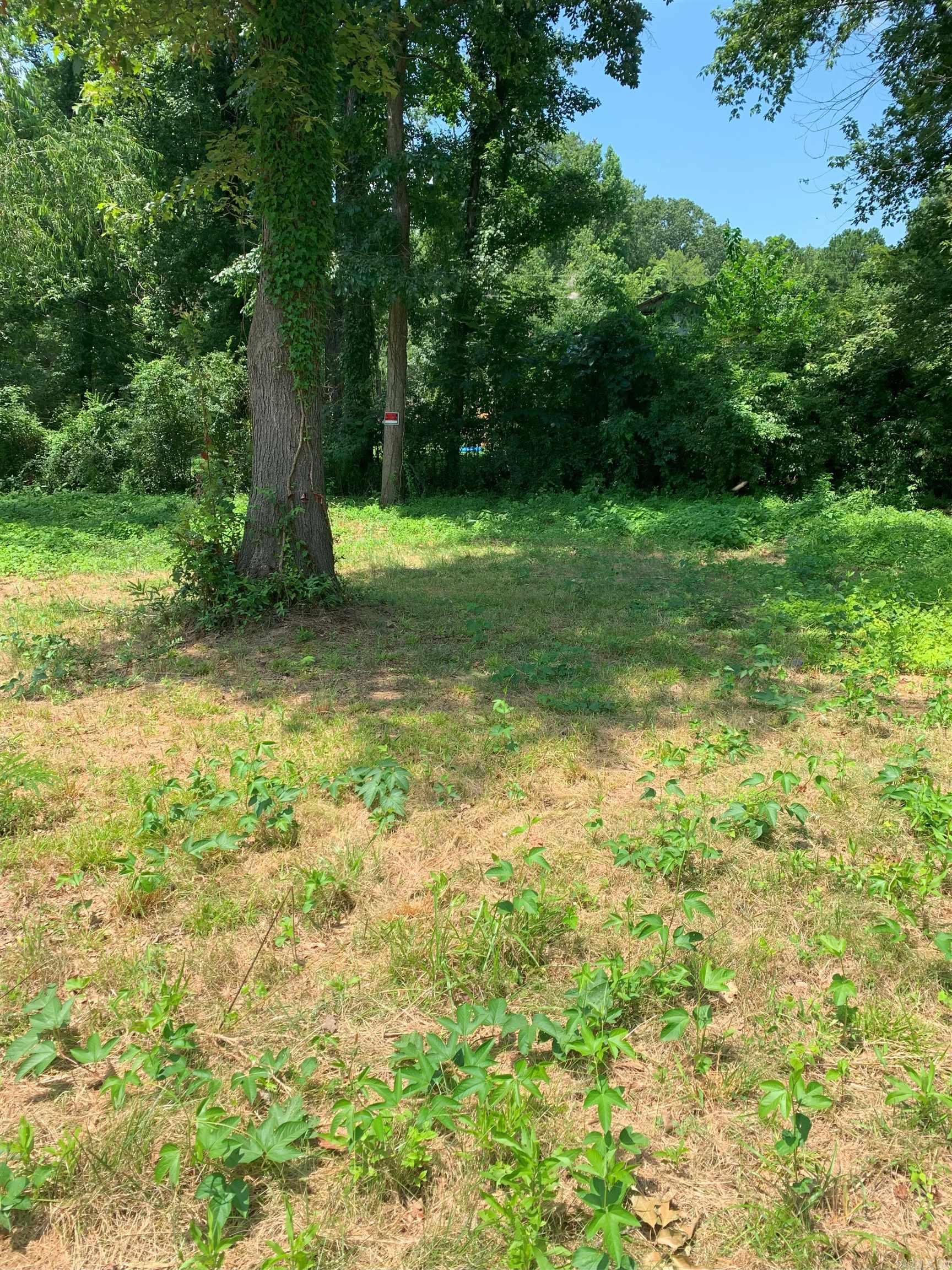 Lots 35 thru 39  Trout  Perryville, AR
