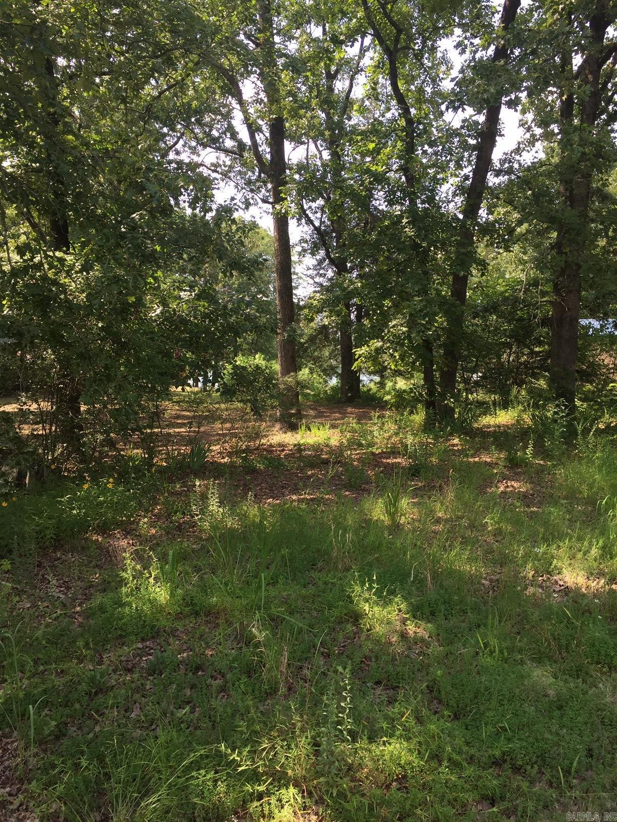 Lots 35 thru 39  Trout  Perryville, AR