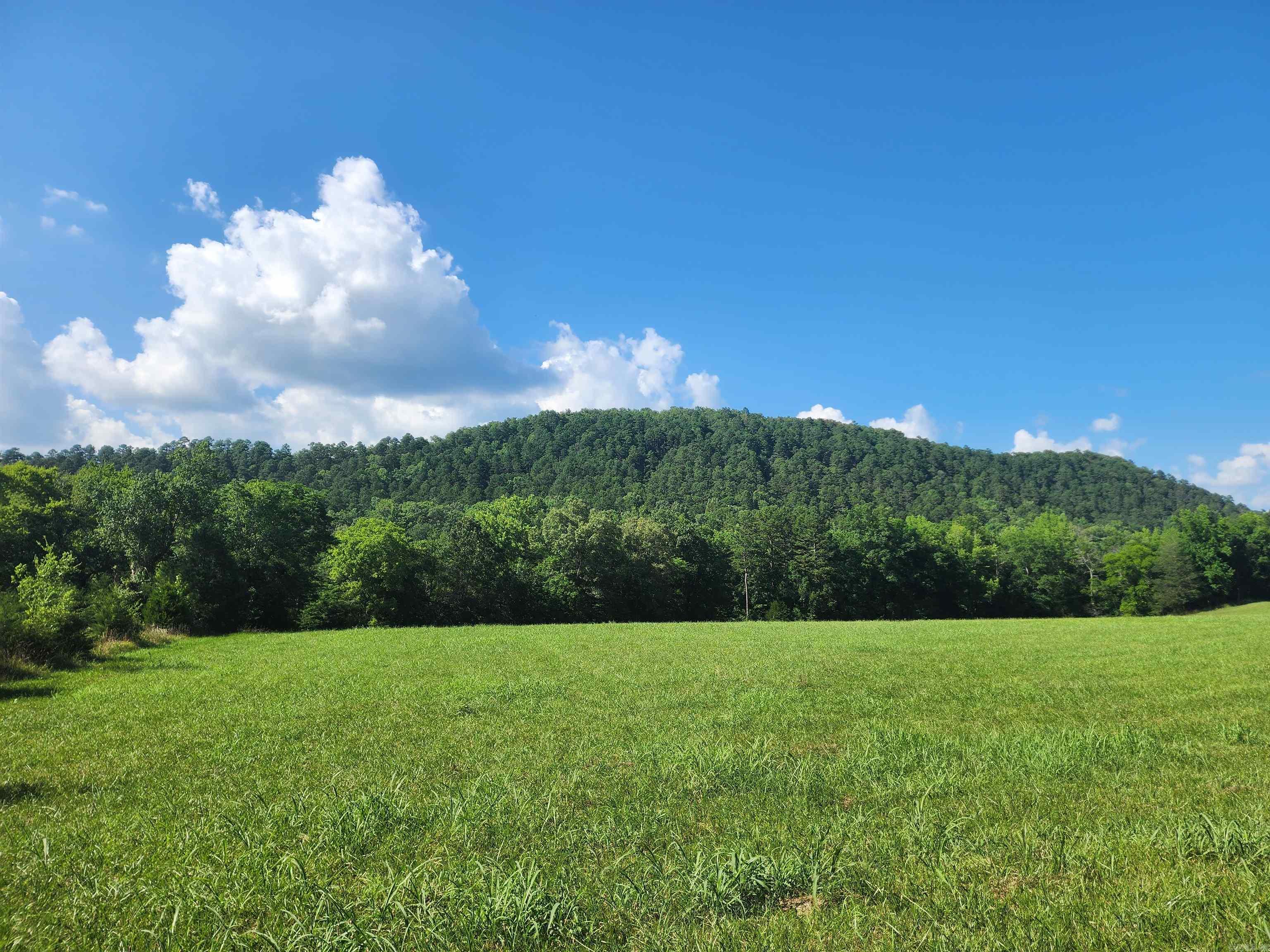 4382  Southside Road  Oden, AR