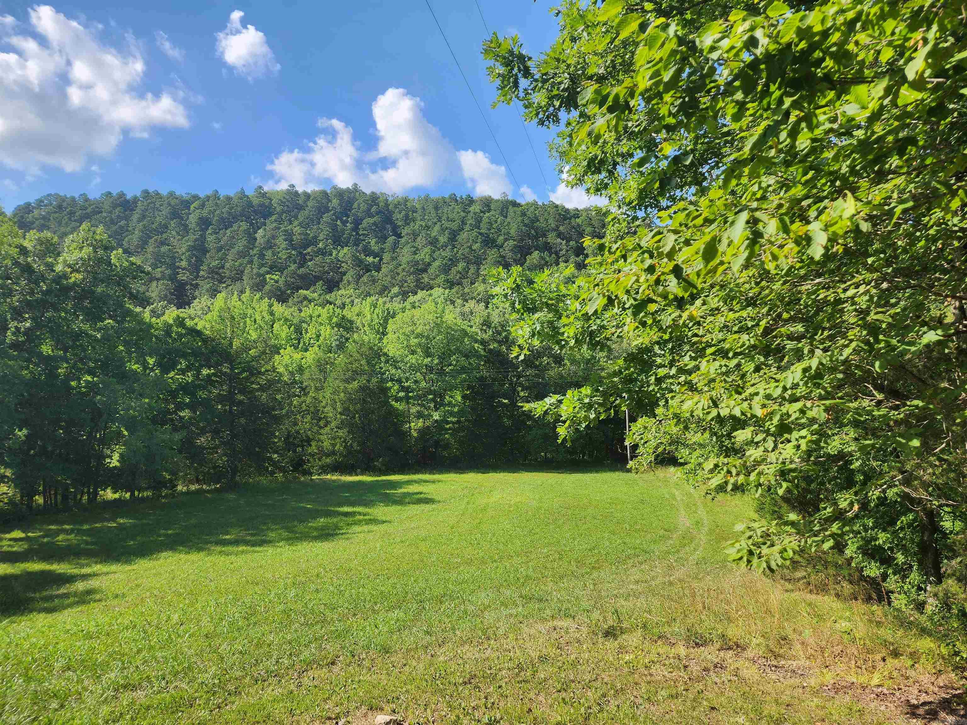4382  Southside Road  Oden, AR