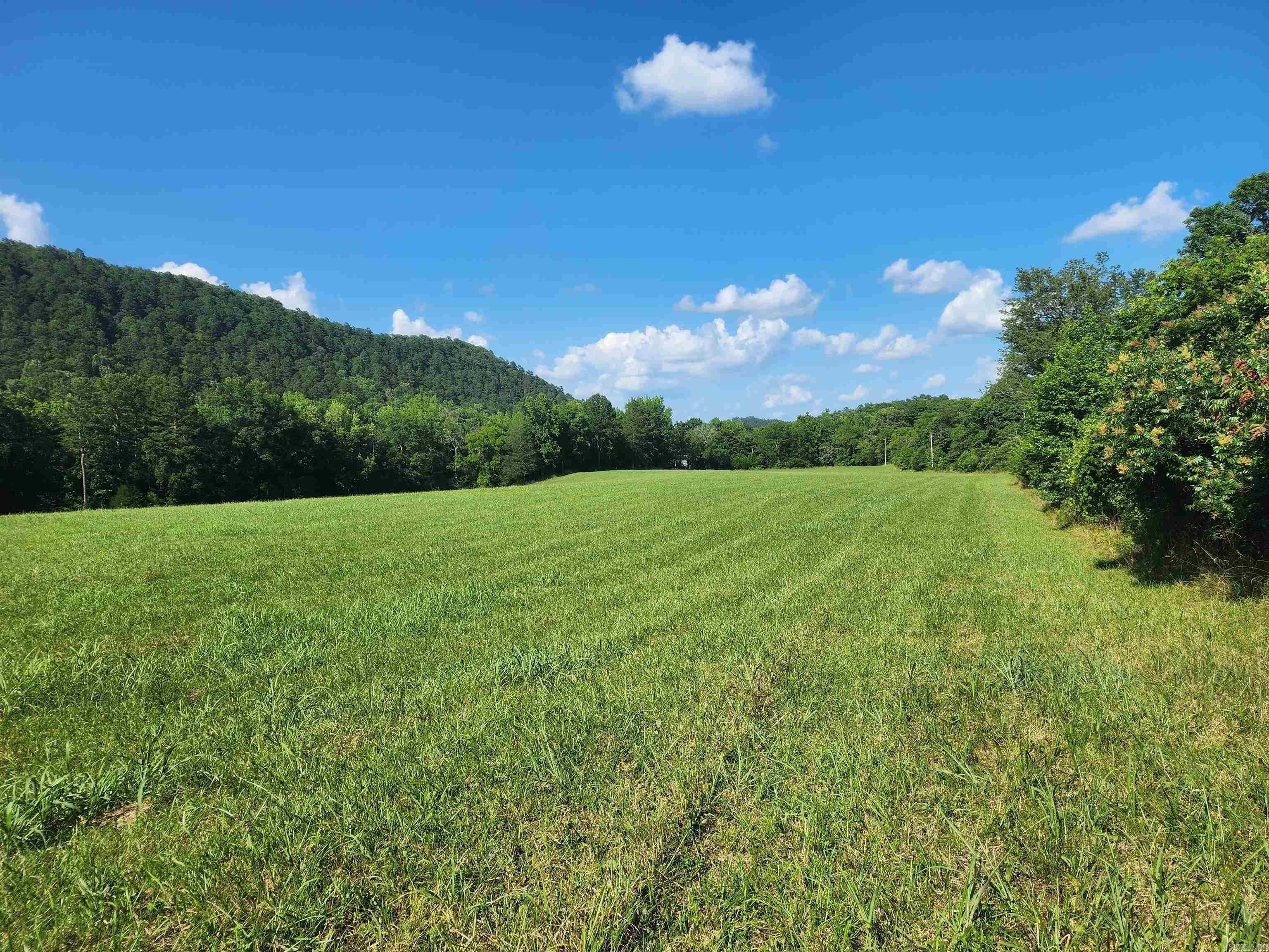 4382  Southside Road  Oden, AR
