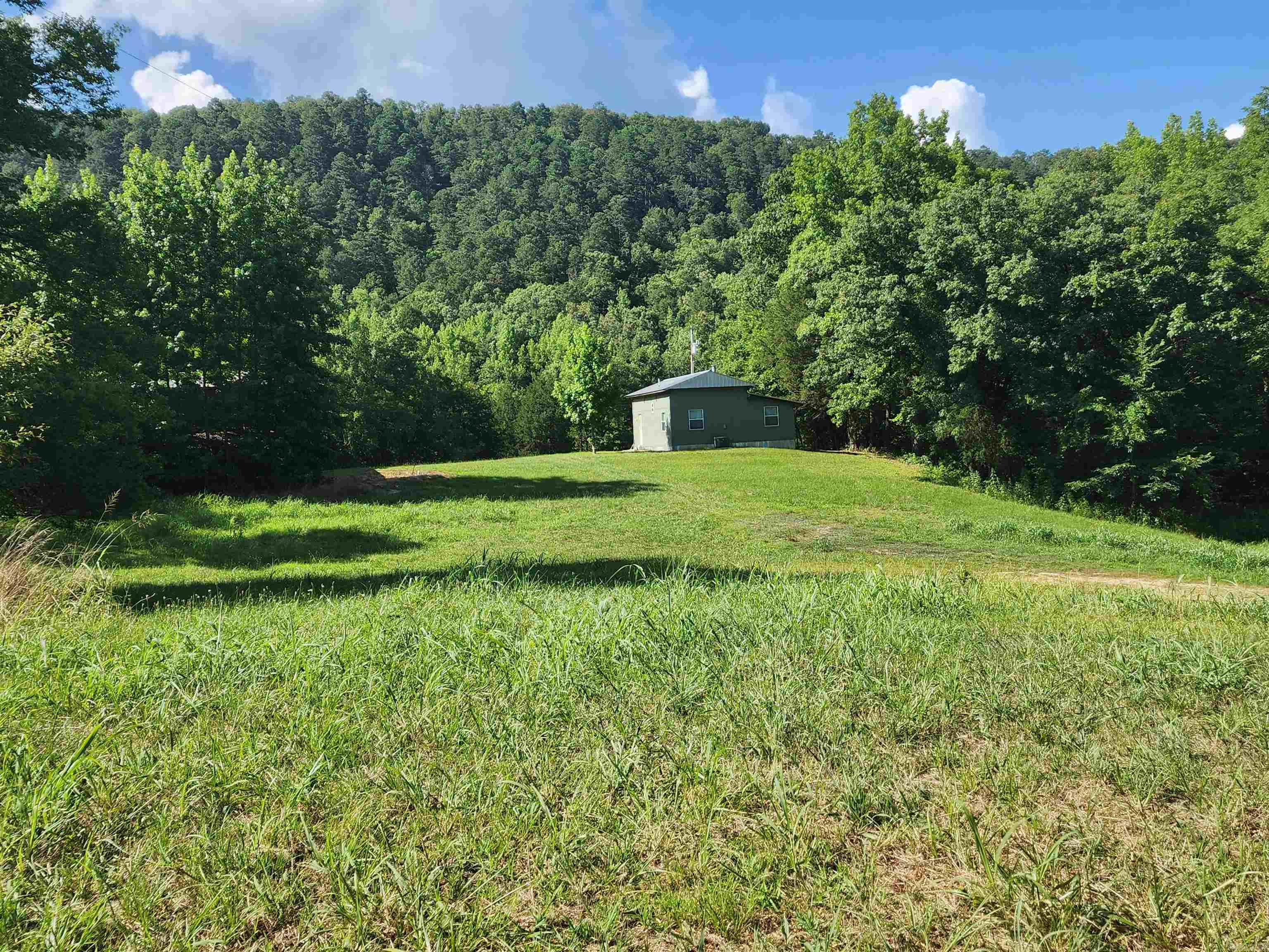 4382  Southside Road  Oden, AR