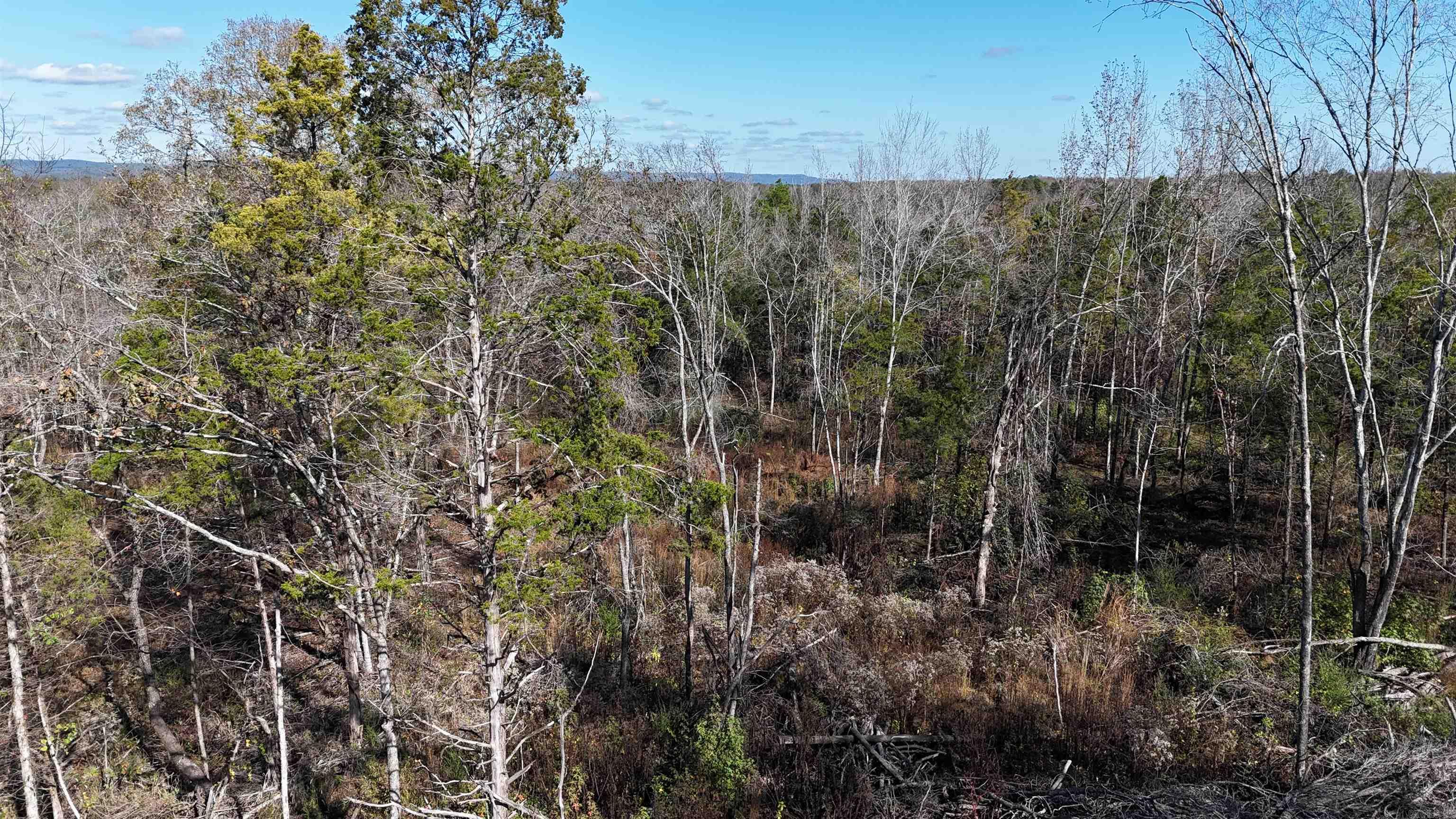 2452  Pleasant Grove Loop  Cleveland, AR