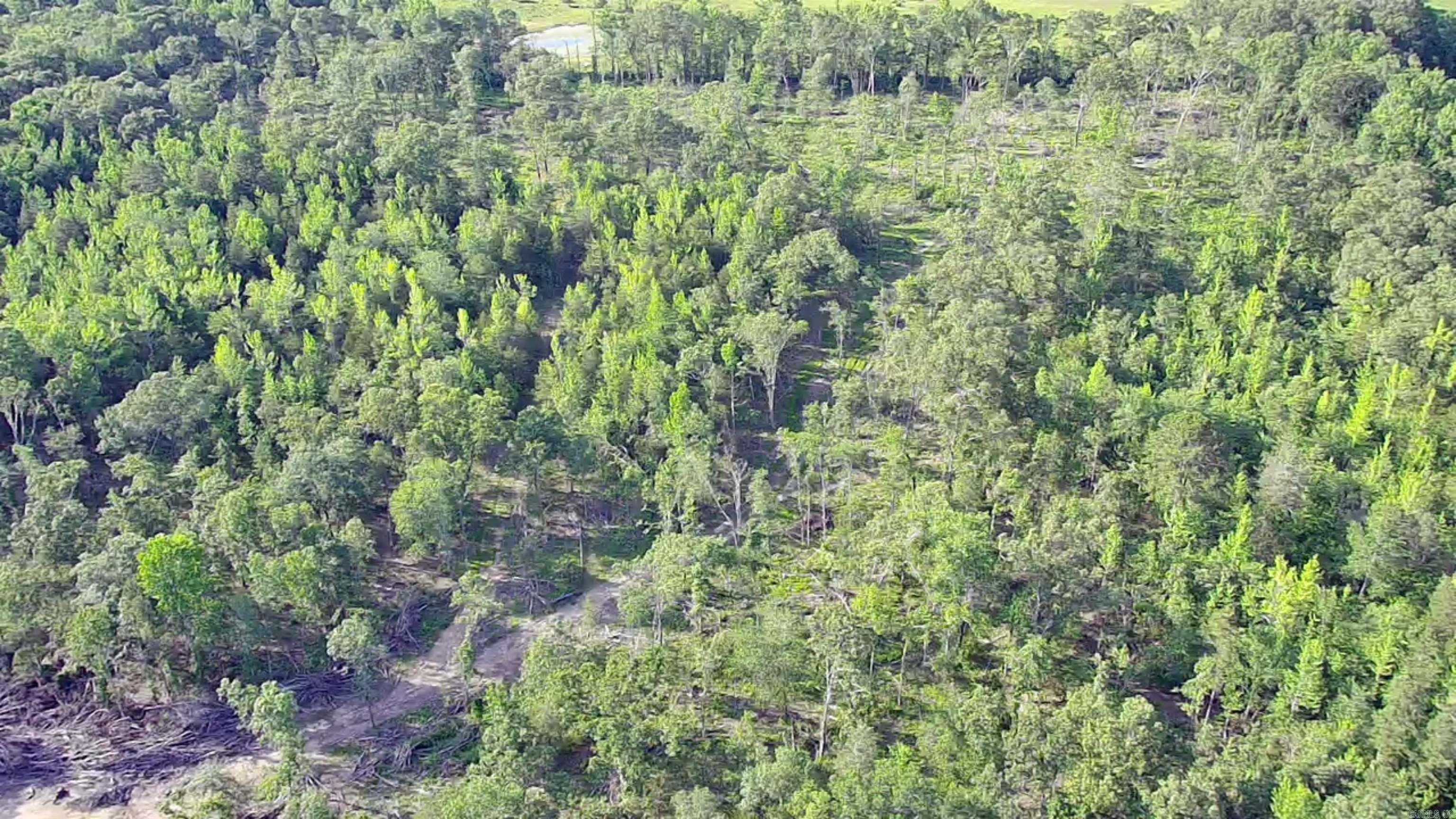 2452  Pleasant Grove Loop  Cleveland, AR