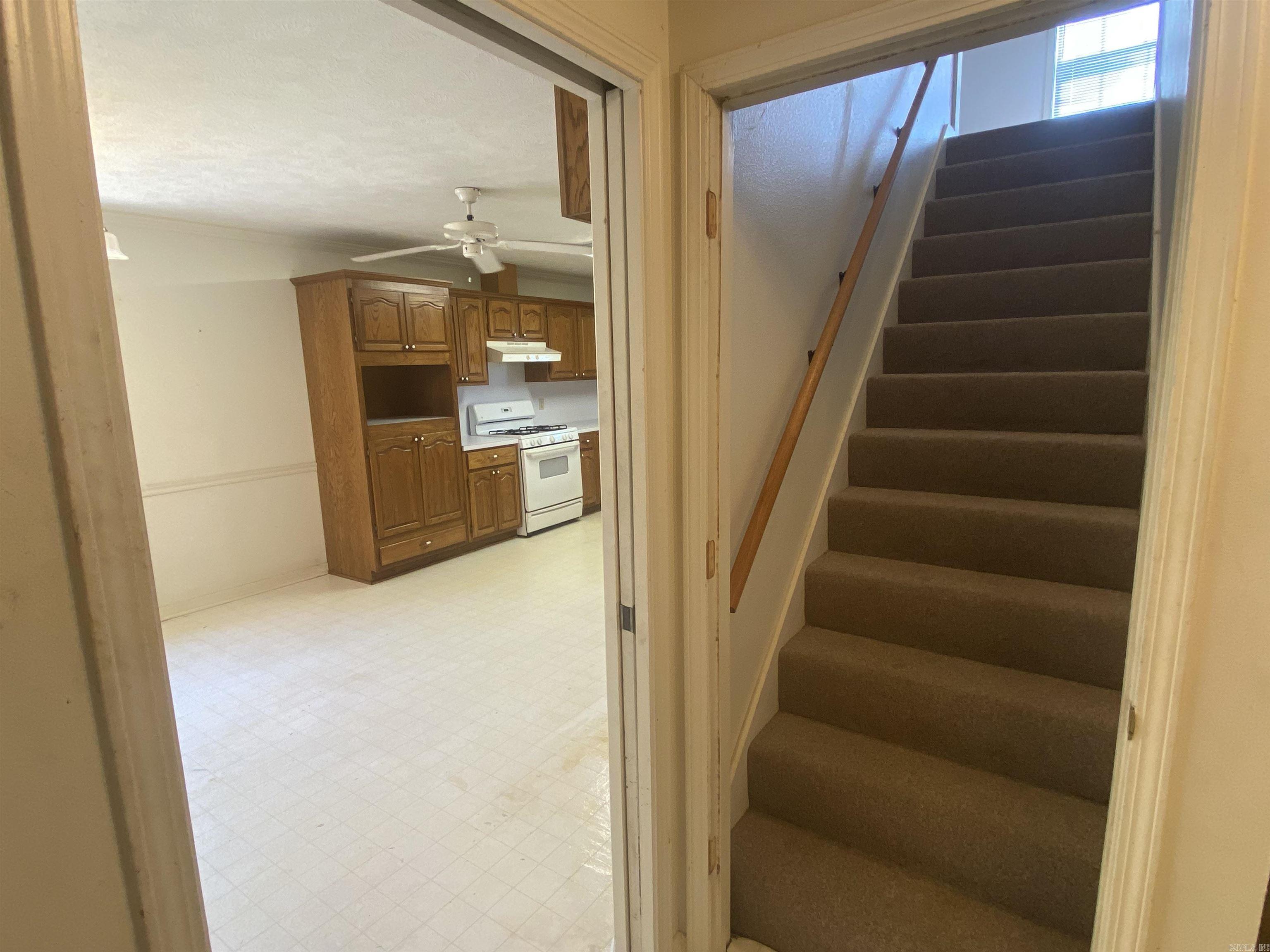 1  Mattison  Vilonia, AR