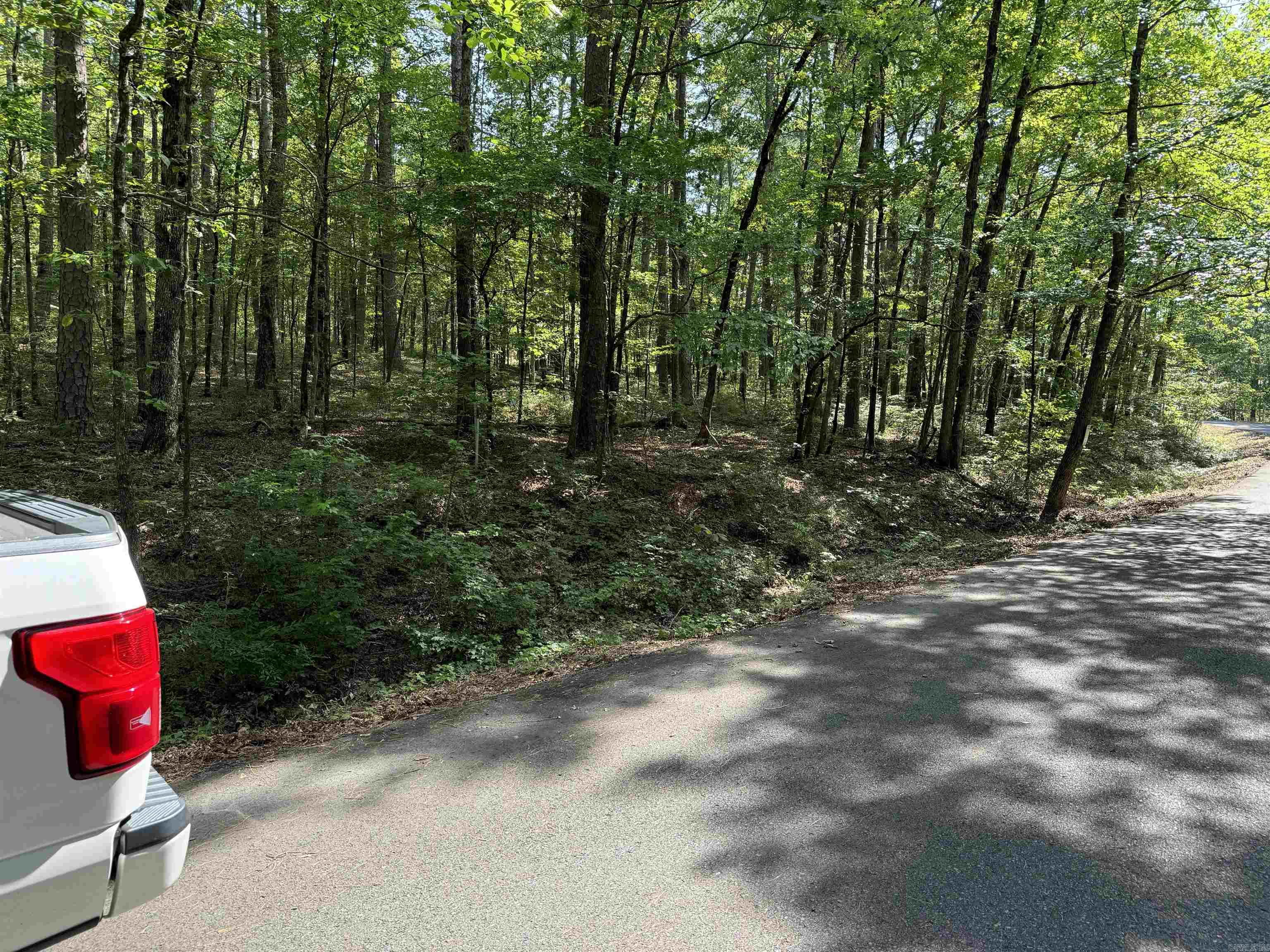 64  RONQUILLO WAY  Hot Springs Village, AR