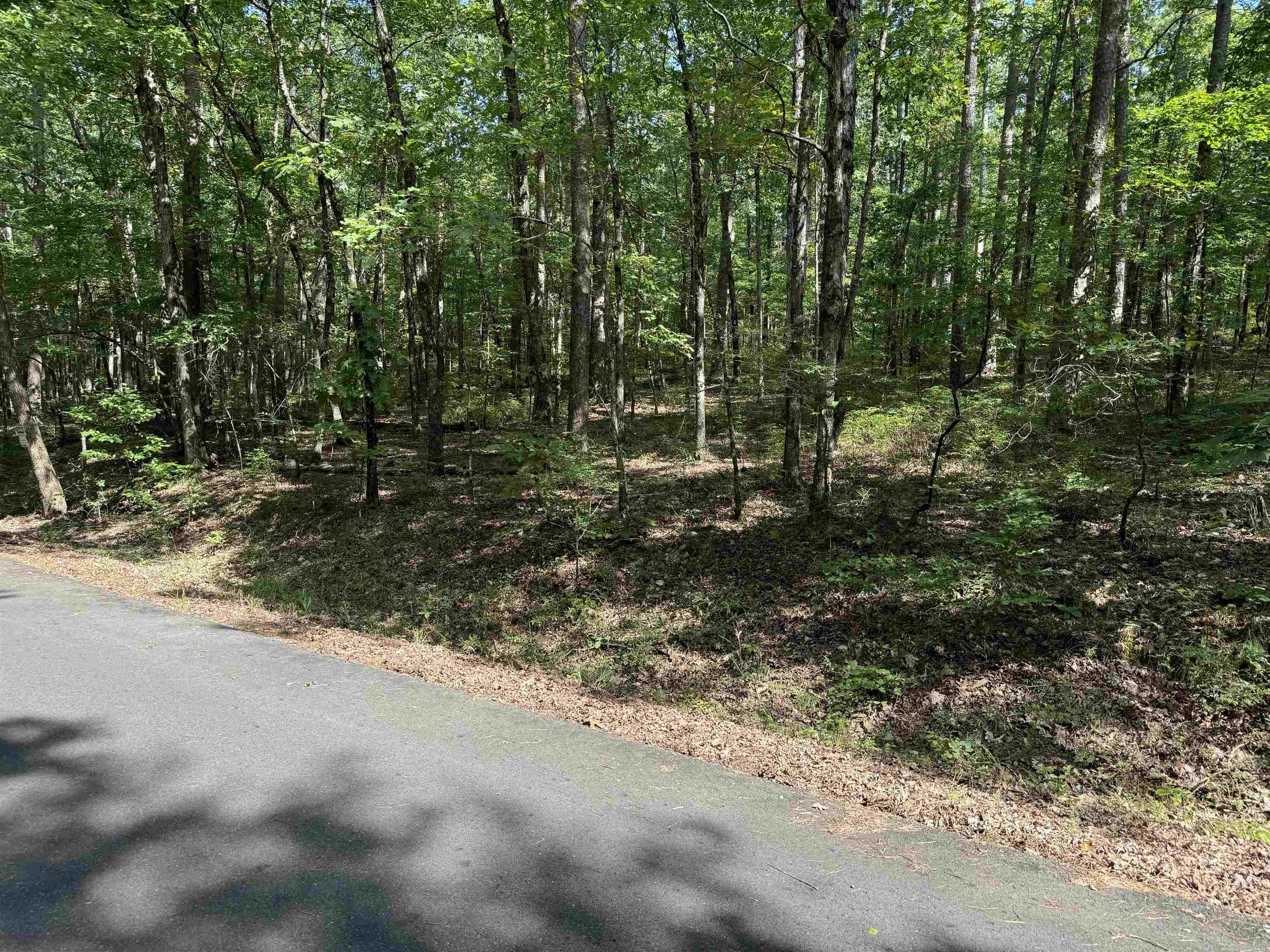64  RONQUILLO WAY  Hot Springs Village, AR