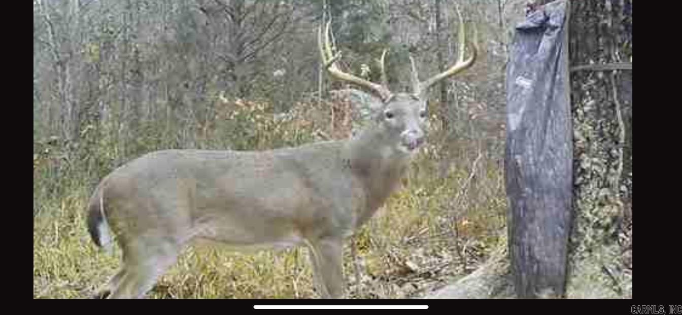 0000  CHICOT  Bismarck, AR