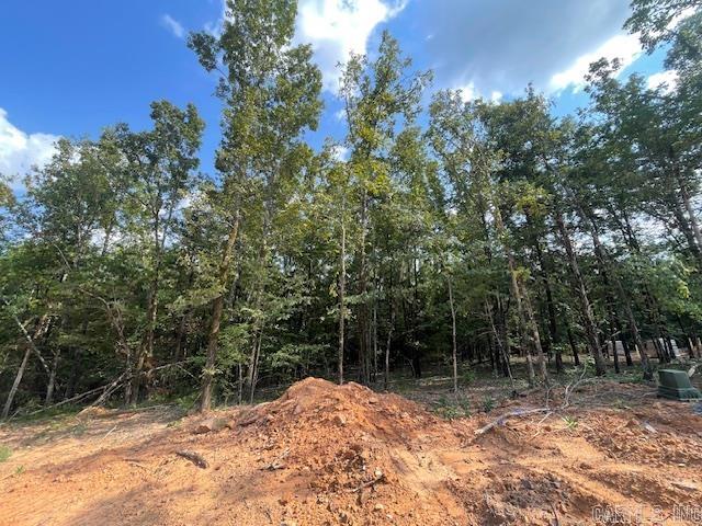 19  Sky Eagle Drive  Greenbrier, AR