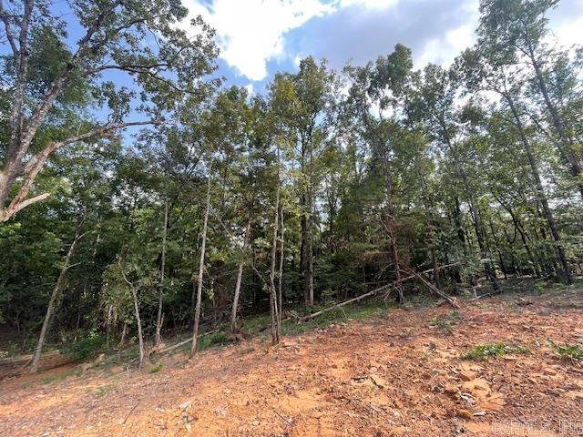 19  Sky Eagle Drive  Greenbrier, AR