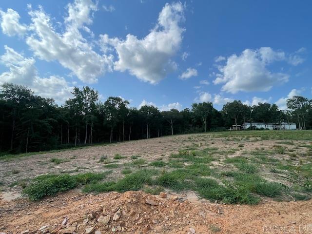 Lot 16  Hwy 65 / Sky Eagle Drive  Greenbrier, AR