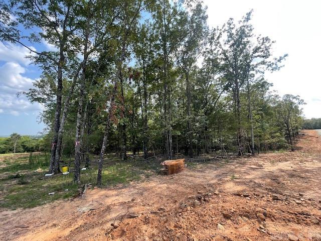 Lot 5  Hwy 65 / Sky Eagle Drive  Greenbrier, AR