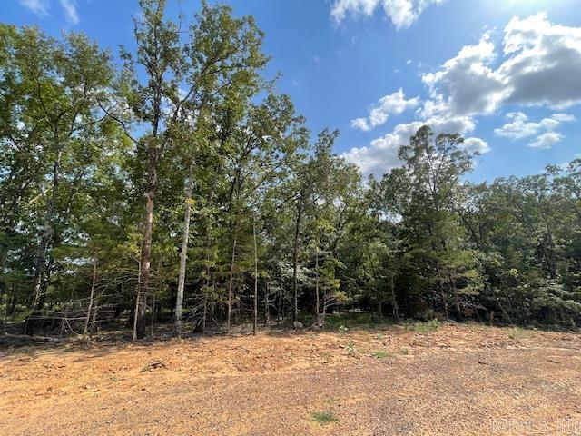Lot 5  Hwy 65 / Sky Eagle Drive  Greenbrier, AR