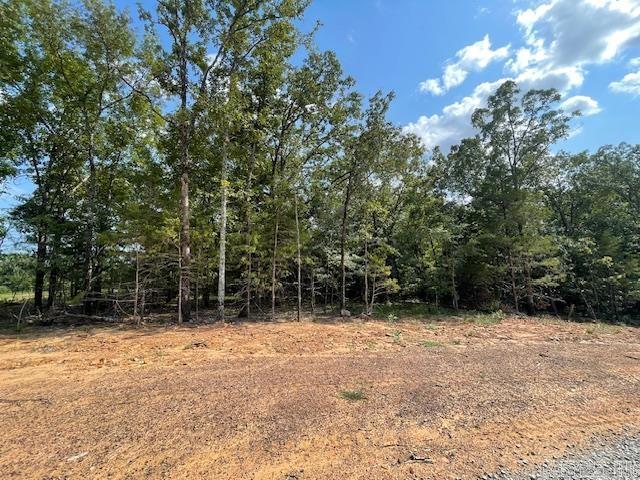Lot 5  Hwy 65 / Sky Eagle Drive  Greenbrier, AR