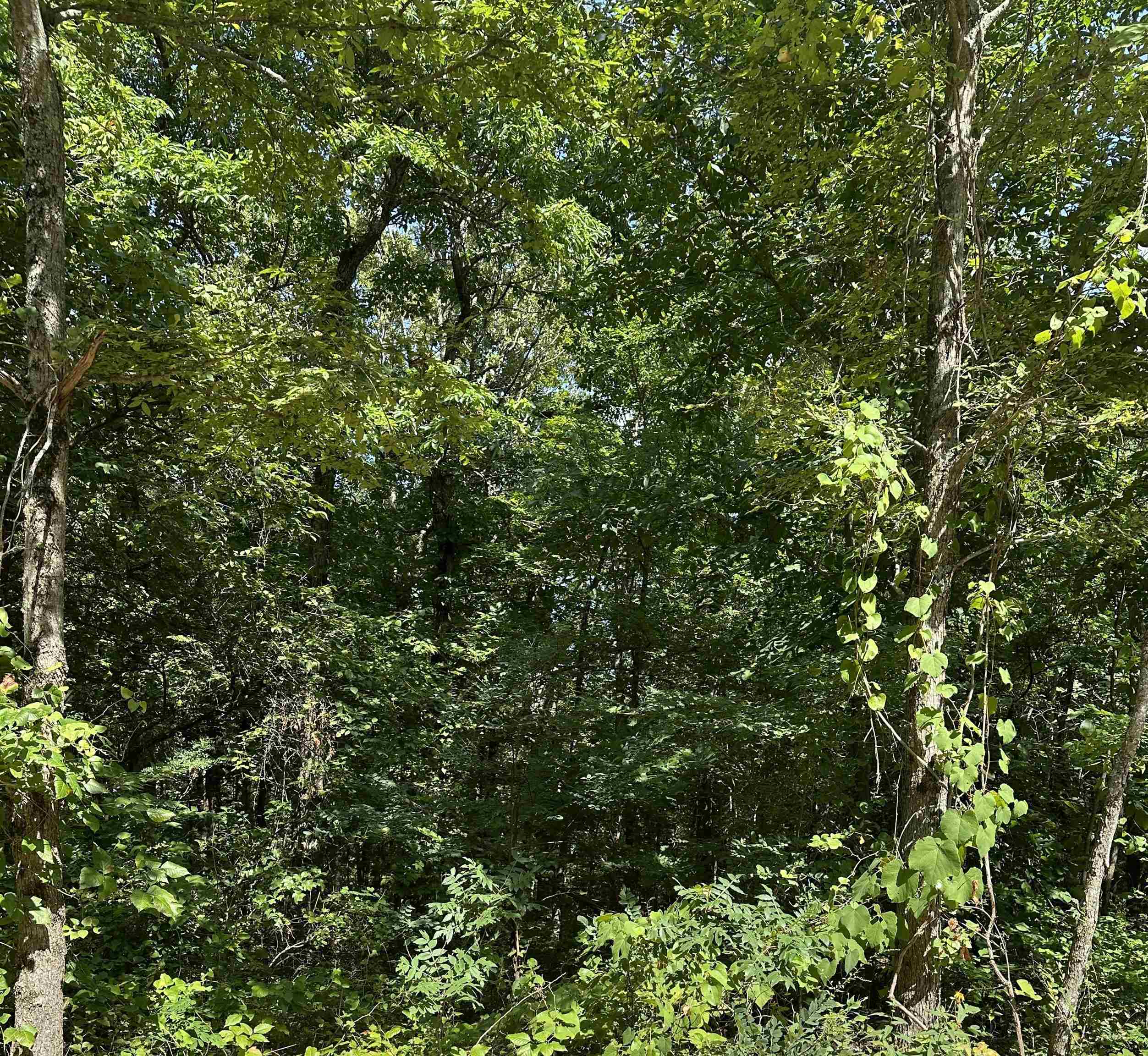 3.5 acres  Heber Springs Road  Locust Grove, AR