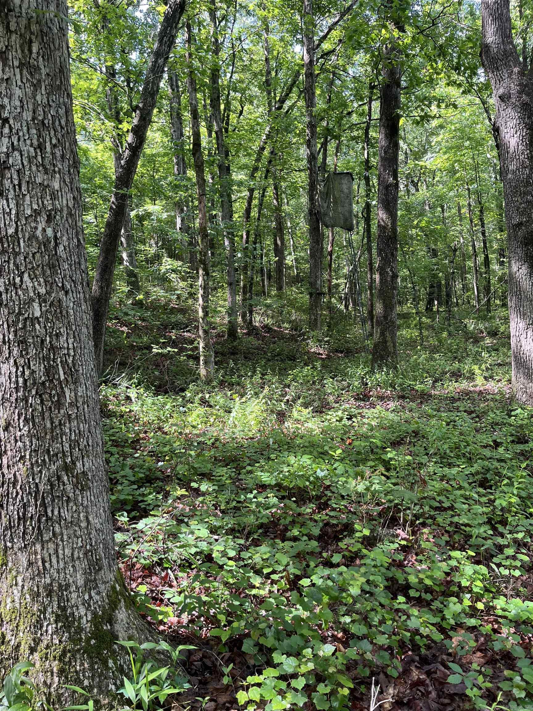 9121  Hwy 9  Mountain View, AR