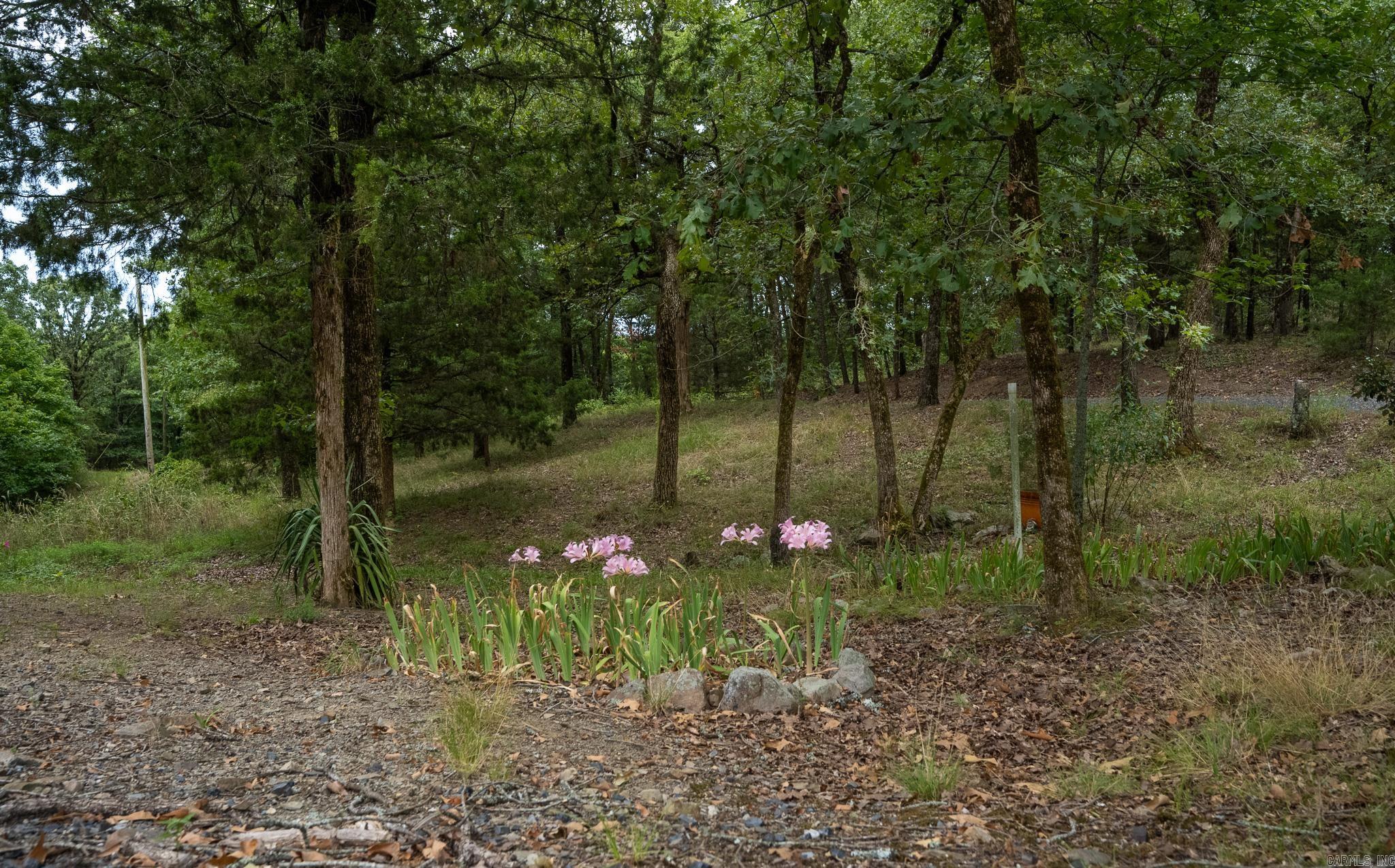 4166  8 West  Mena, AR