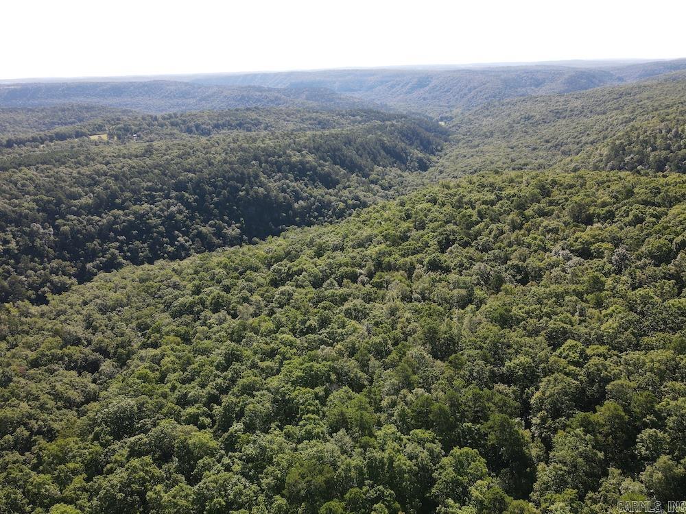   CRESS LN  Mountain View, AR
