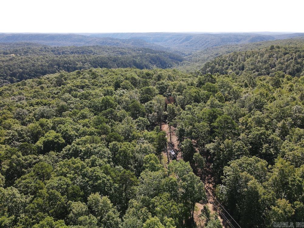   CRESS LN  Mountain View, AR