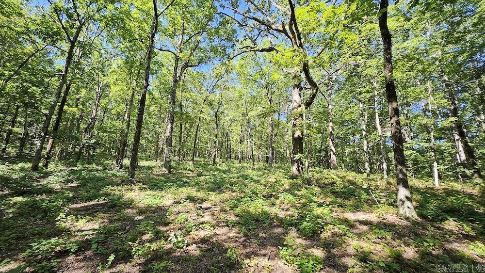   CRESS LN  Mountain View, AR