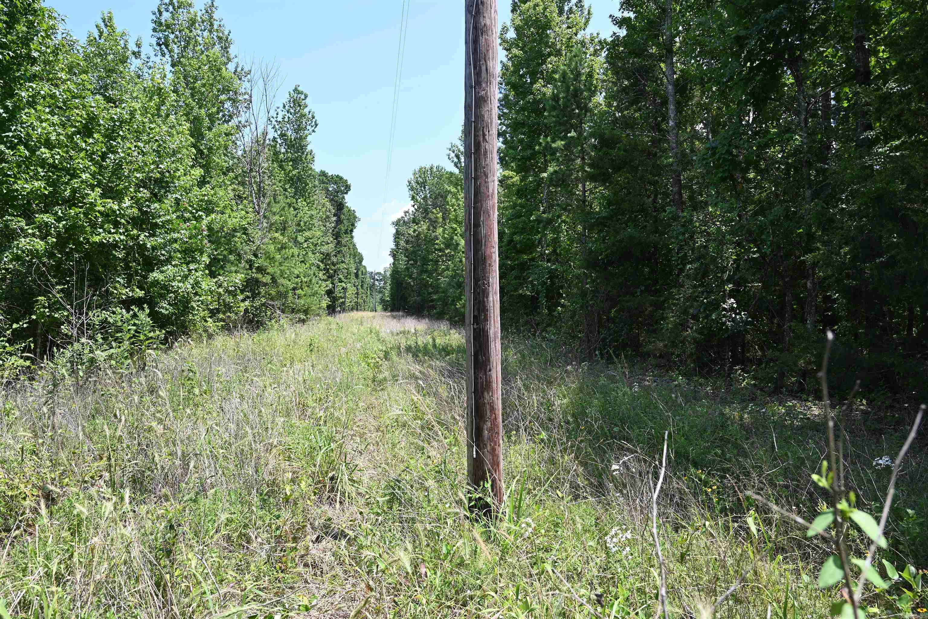 246 KIRKENDOLL Clinton, AR 72031