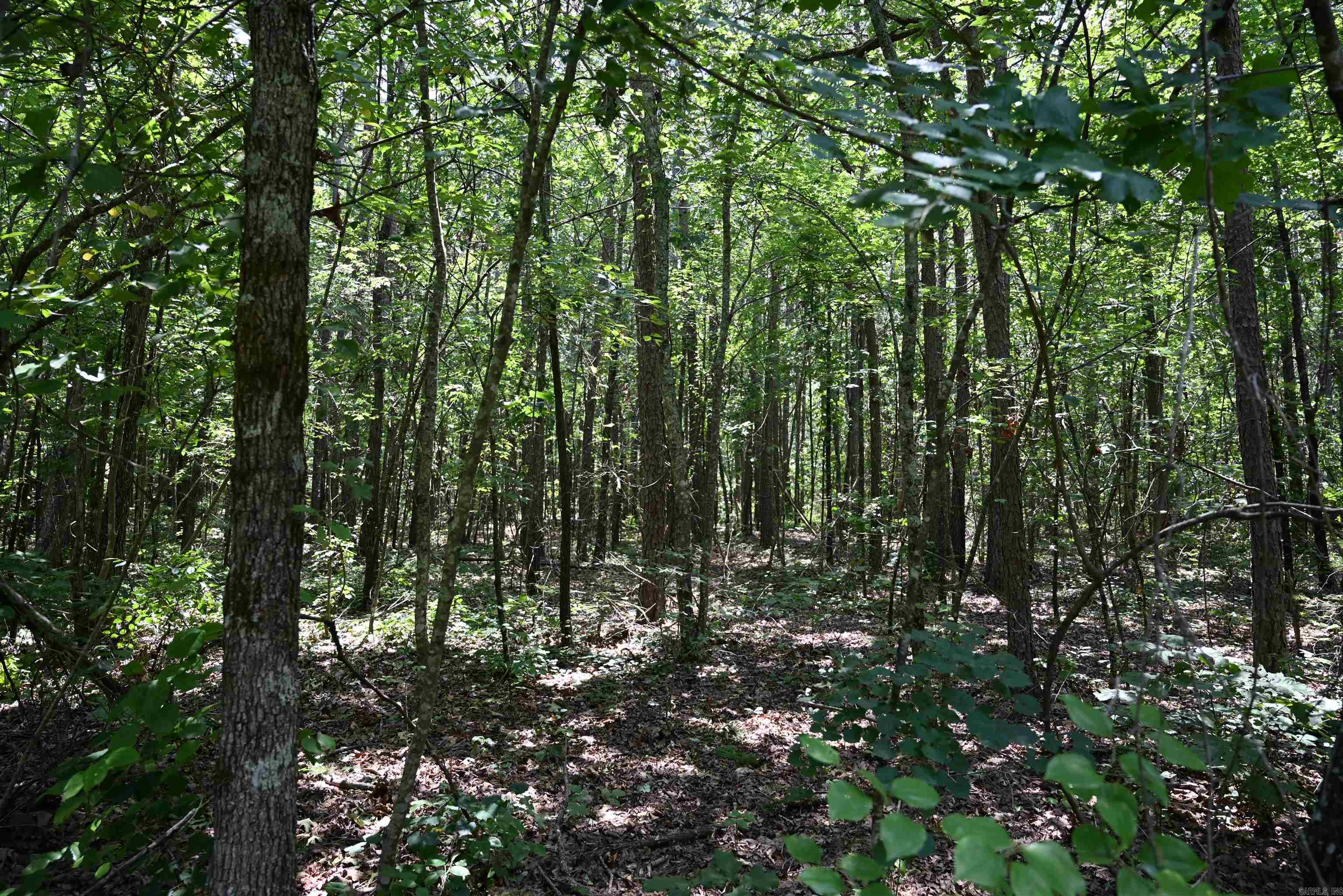 246 KIRKENDOLL Clinton, AR 72031