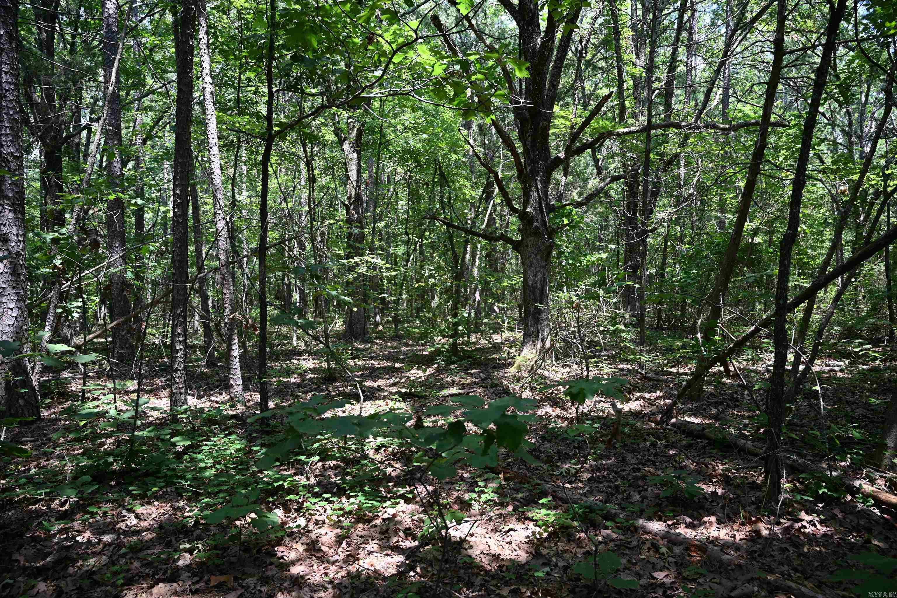 246 KIRKENDOLL Clinton, AR 72031