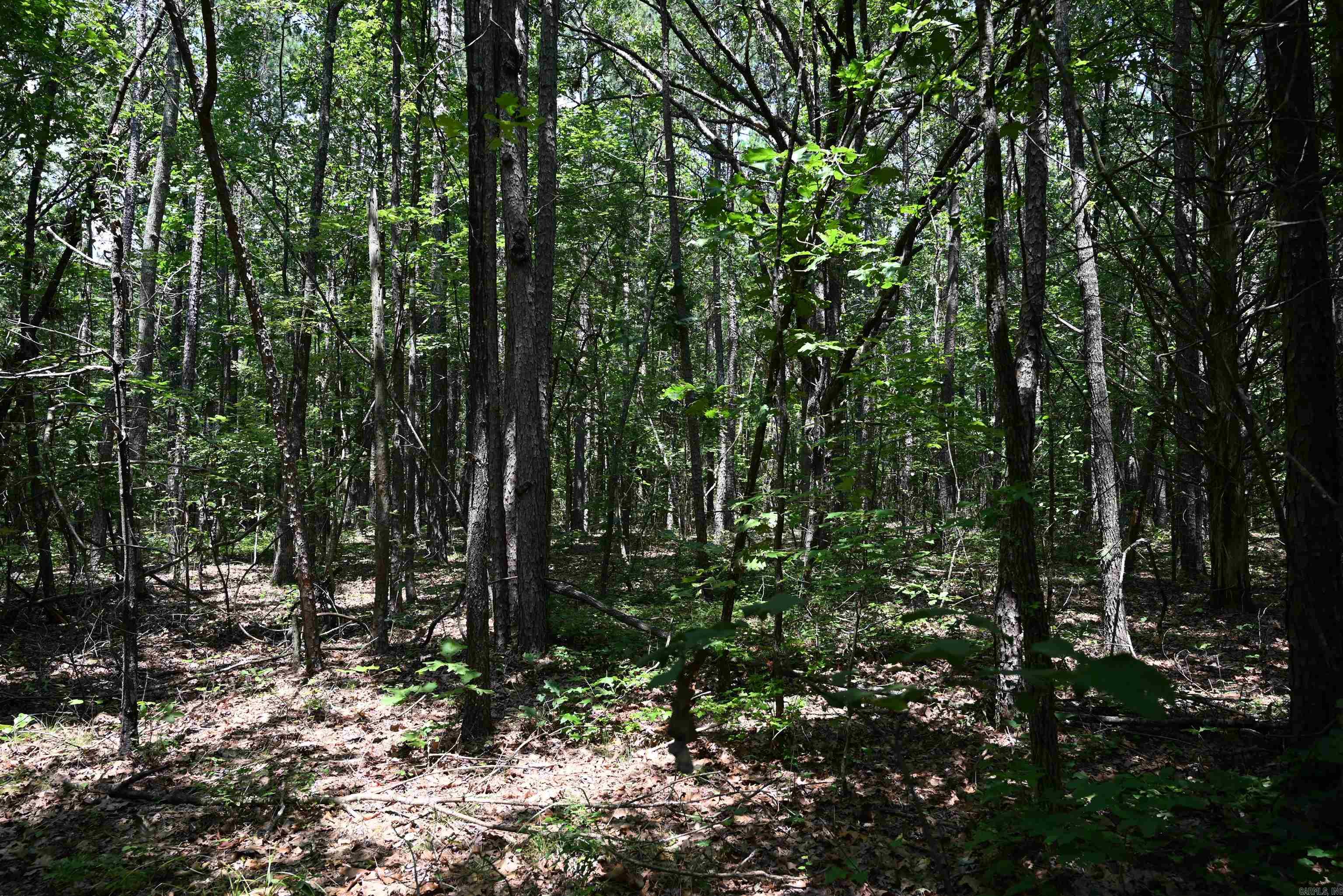 246 KIRKENDOLL Clinton, AR 72031