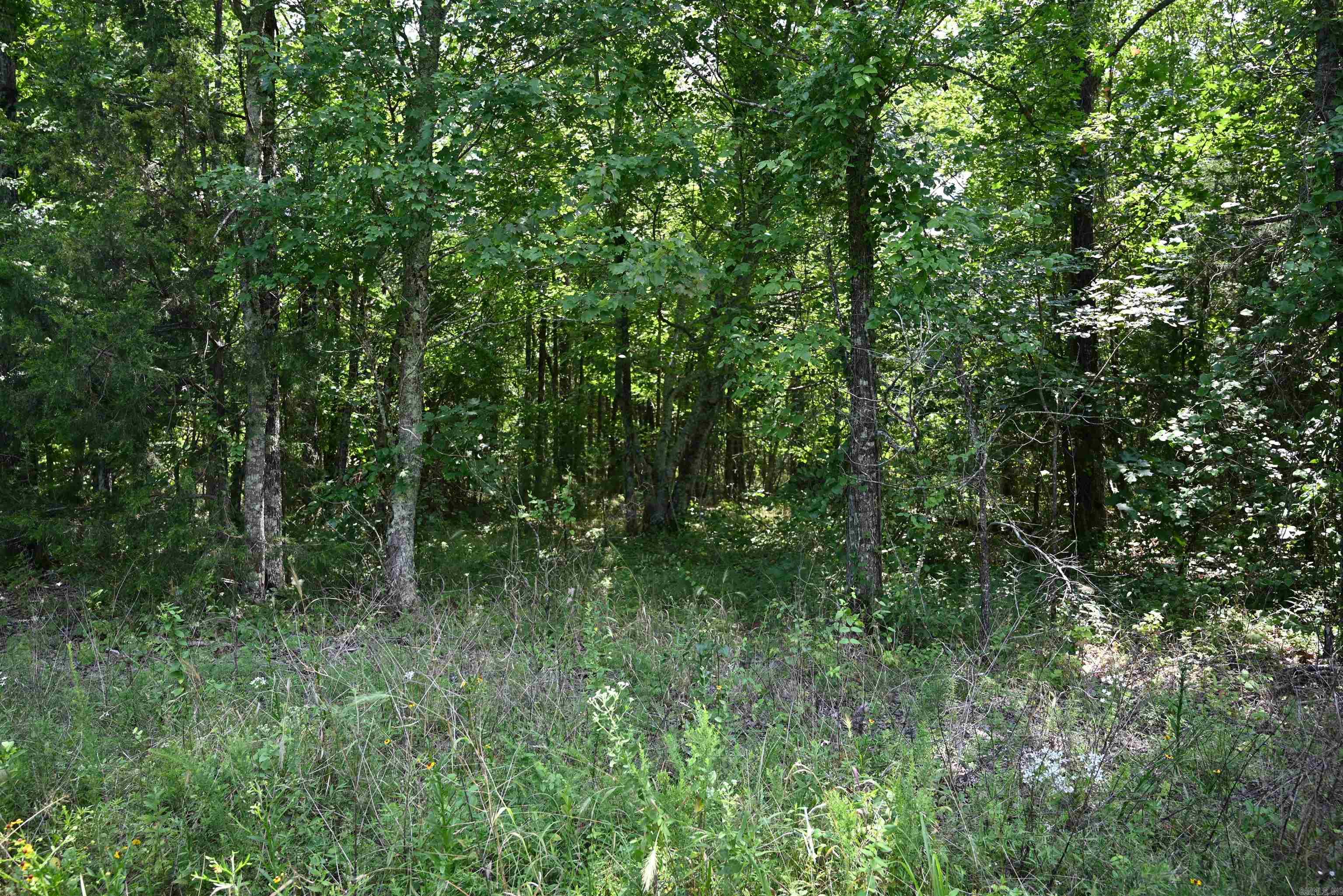 246 KIRKENDOLL Clinton, AR 72031