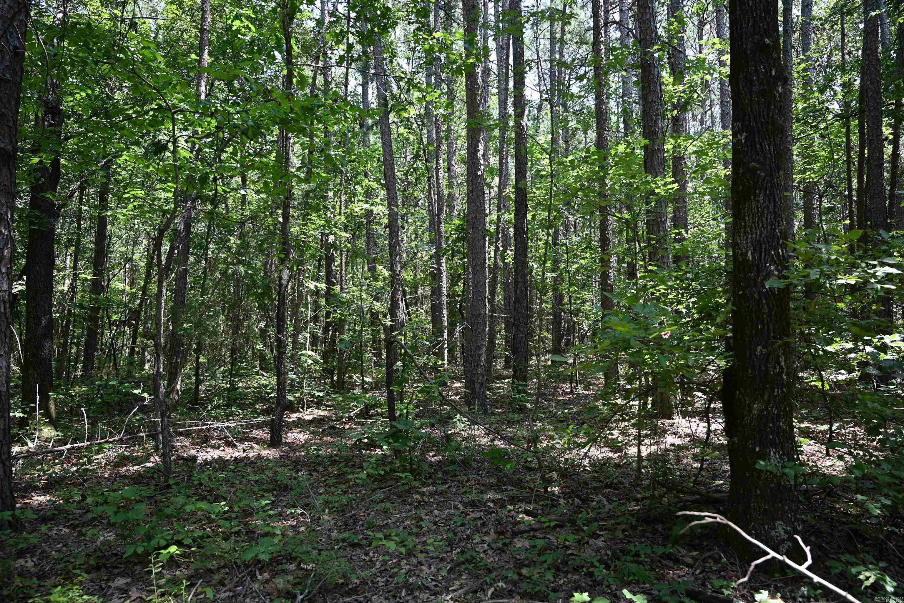 246 KIRKENDOLL Clinton, AR 72031