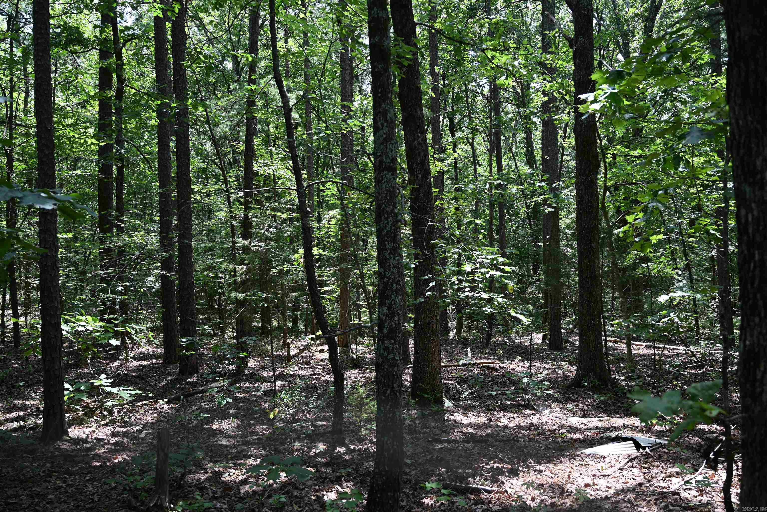 246 KIRKENDOLL Clinton, AR 72031