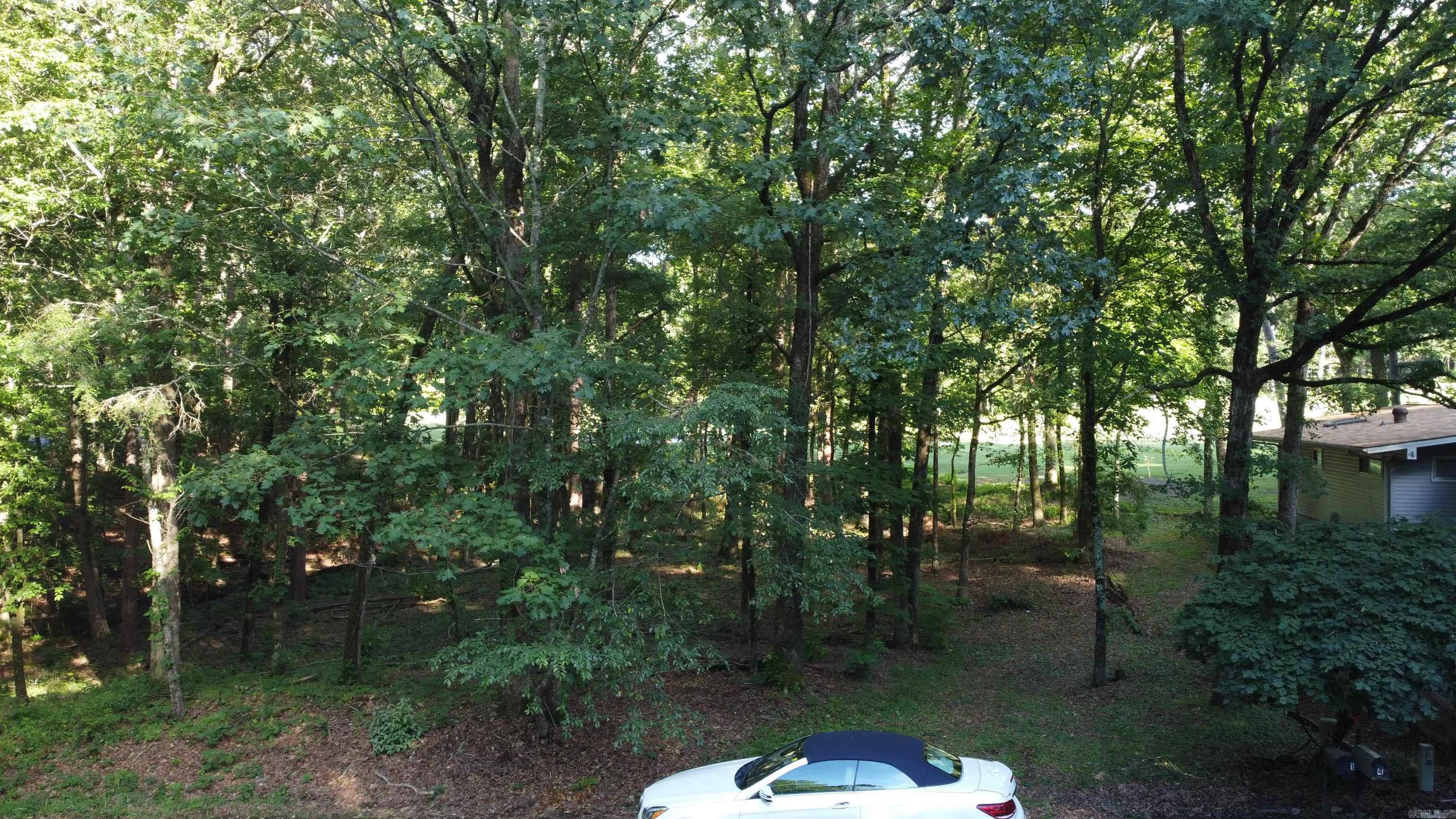 2  Palacio  Hot Springs Village, AR
