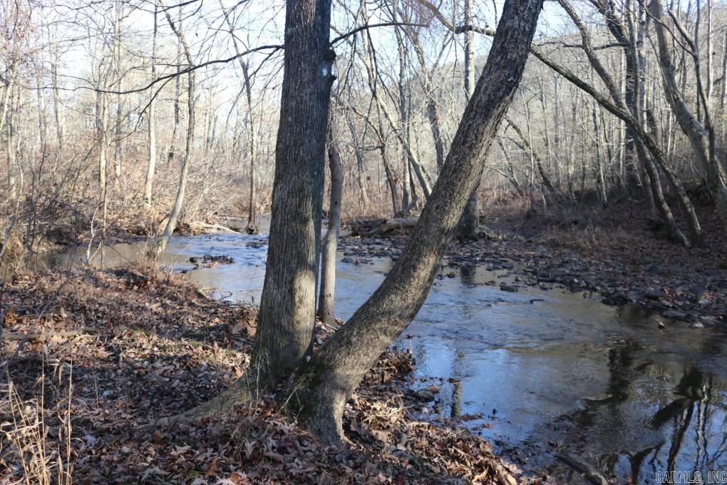 1425  Turkey Creek  Mountain View, AR