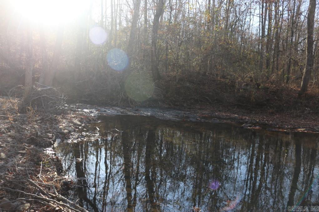 1425  Turkey Creek  Mountain View, AR