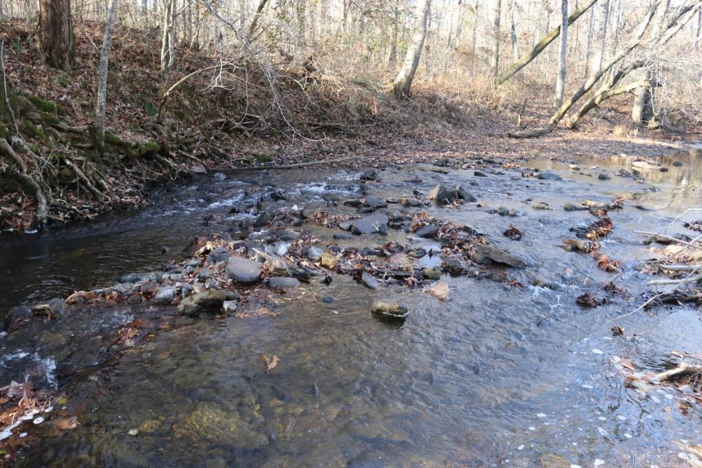 1425  Turkey Creek  Mountain View, AR
