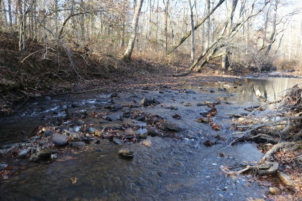 1425  Turkey Creek  Mountain View, AR