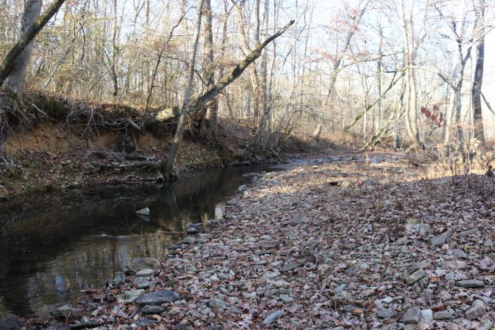 1425  Turkey Creek  Mountain View, AR