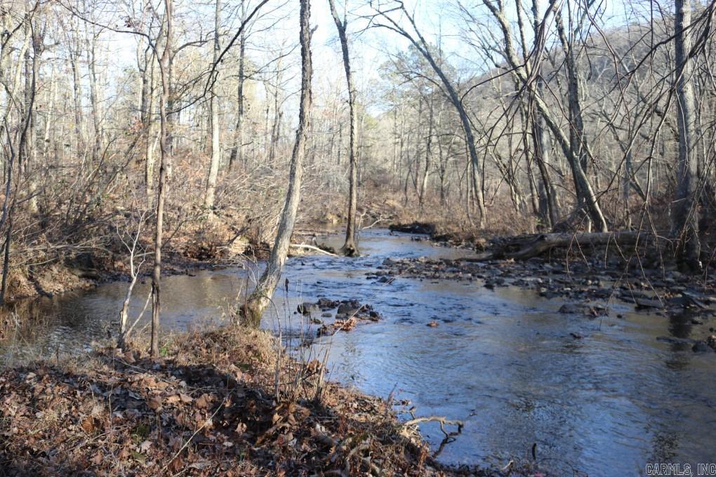 1425  Turkey Creek  Mountain View, AR