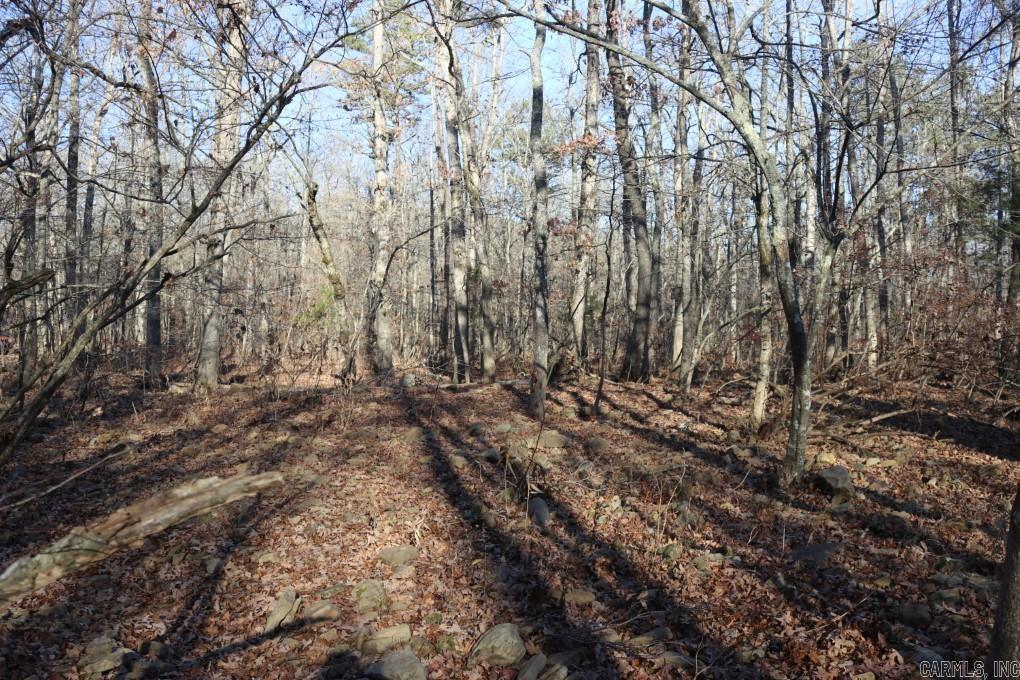 1425  Turkey Creek  Mountain View, AR
