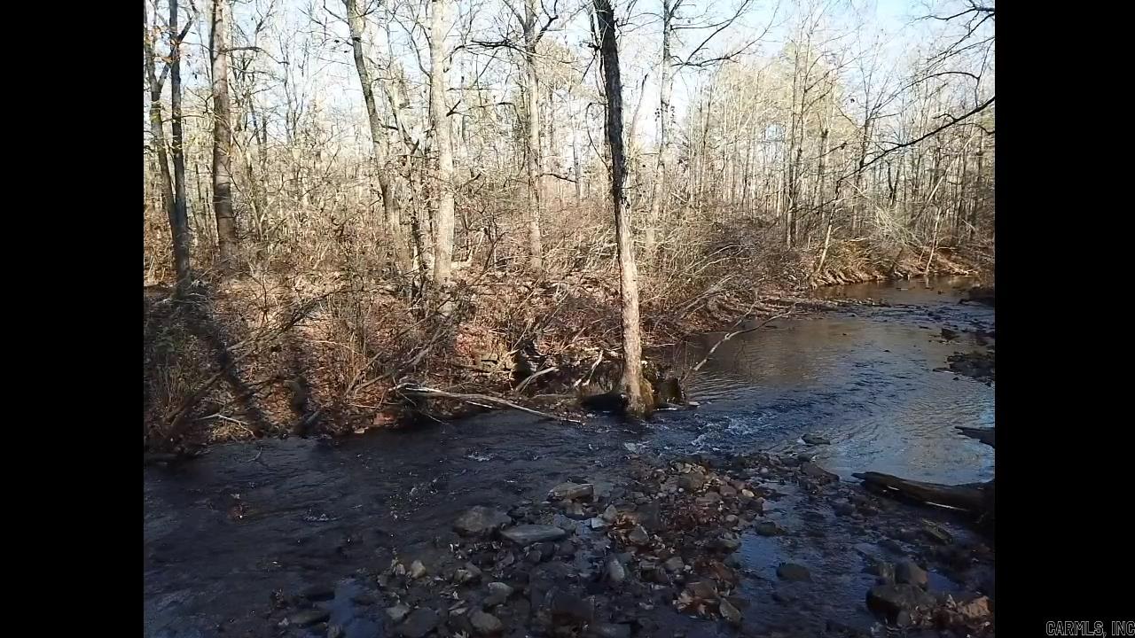 1425  Turkey Creek  Mountain View, AR