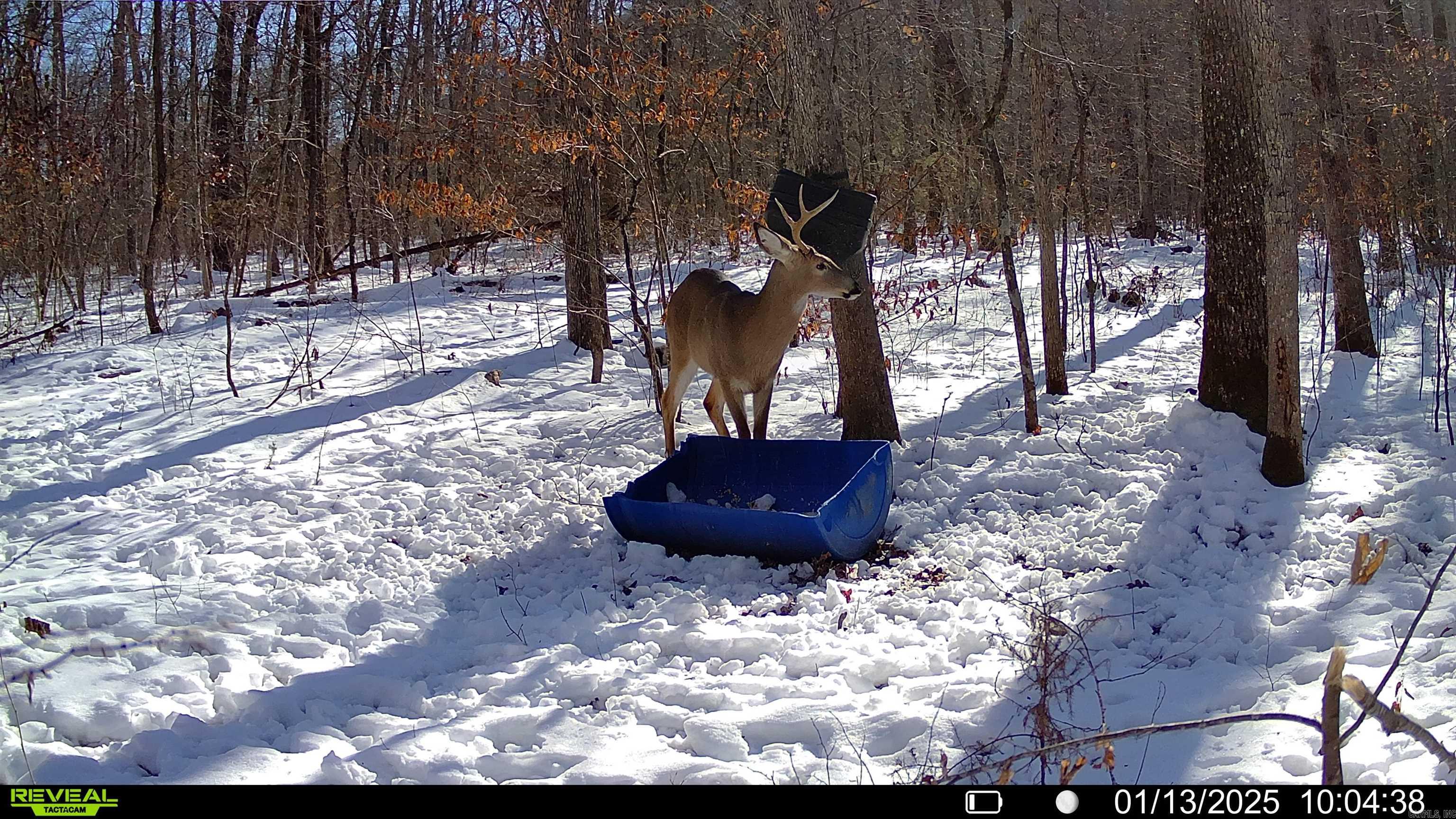 1425  Turkey Creek  Mountain View, AR