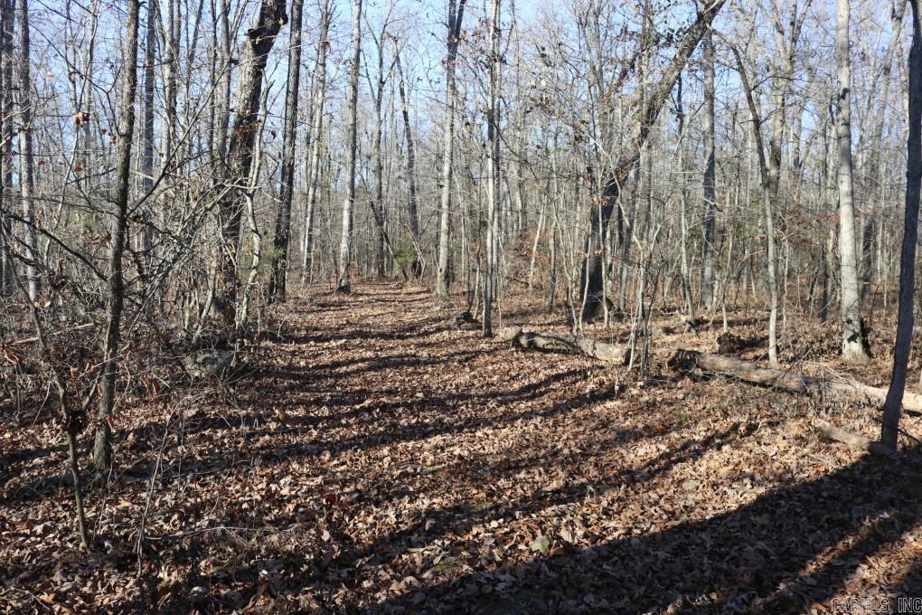 1425  Turkey Creek  Mountain View, AR