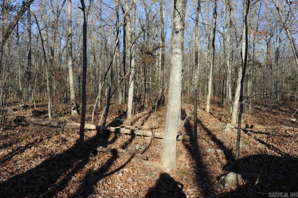 1425  Turkey Creek  Mountain View, AR
