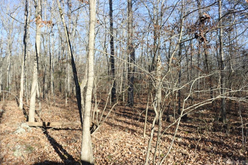 1425  Turkey Creek  Mountain View, AR