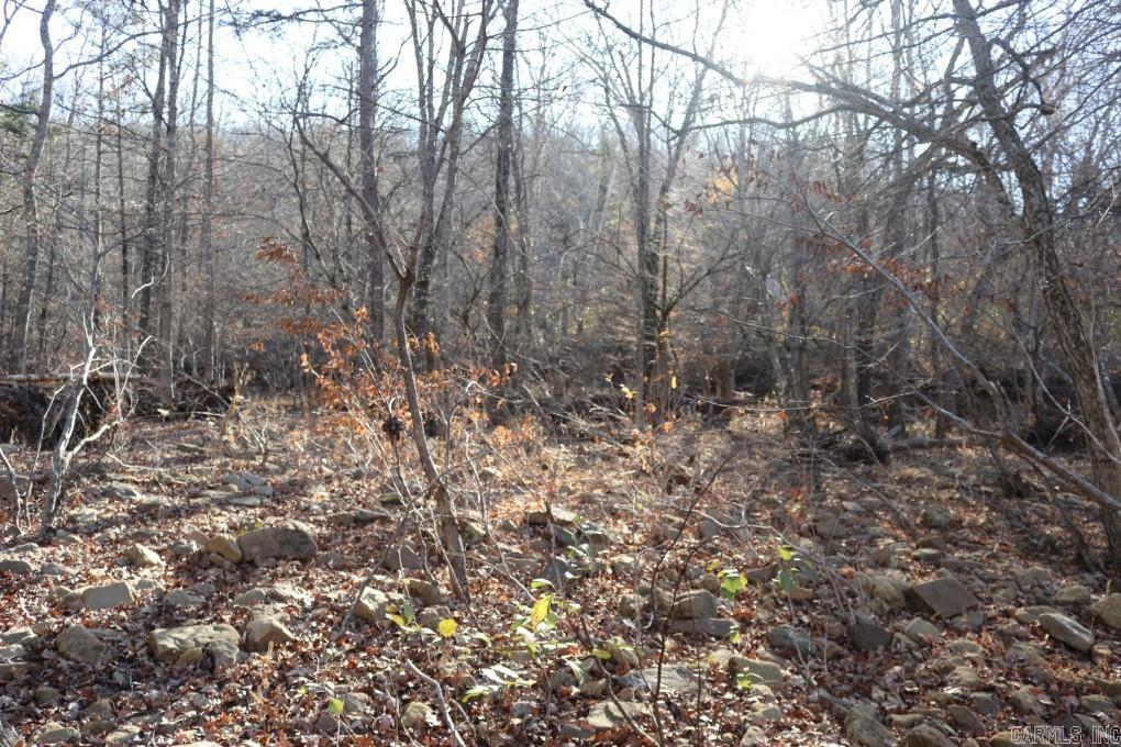 1425 Turkey Creek  Mountain View, AR