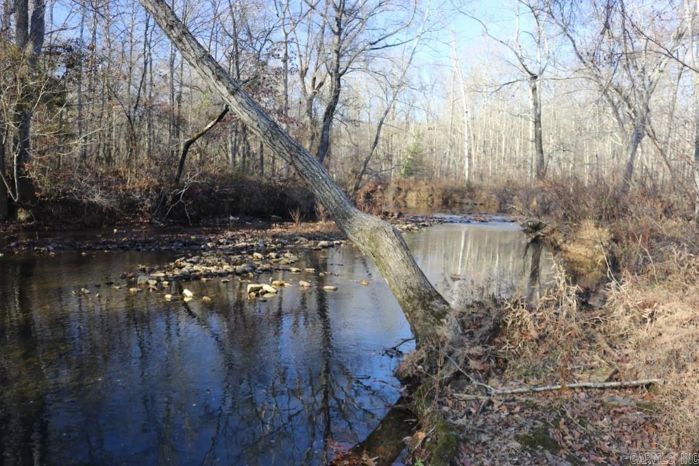 1425 Turkey Creek  Mountain View, AR