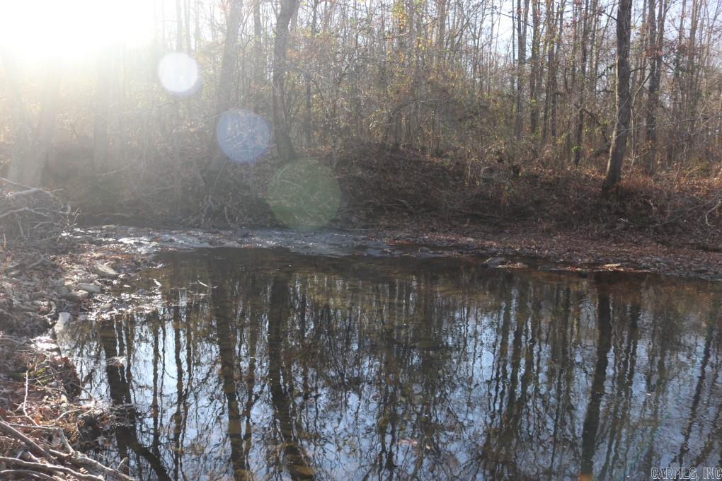 1425 Turkey Creek  Mountain View, AR